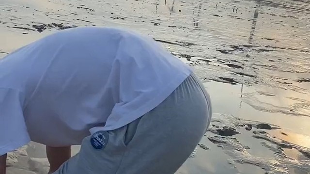 再来赶海我就是狗