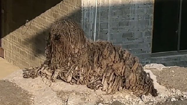 这才是真正的牛了个牛