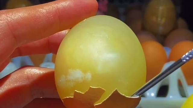 每天一颗生鸡蛋的直播