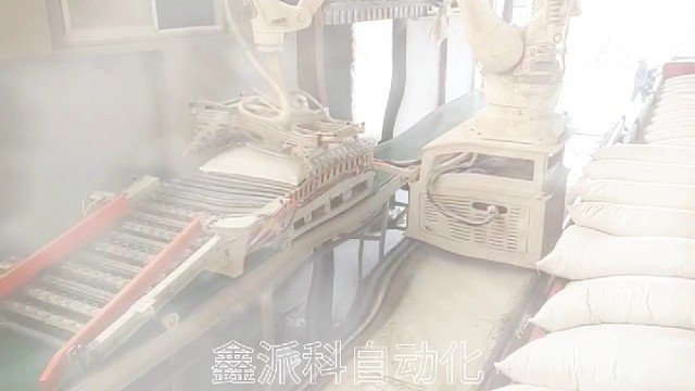 自动装车机械手，增效省人工。#装车机#自动装车#装车机械手