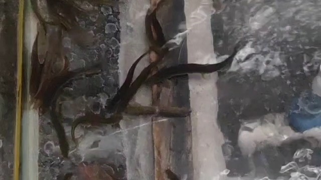 给上帝带来不便敬请谅解！最终解释权归#汉唐渔户唐瑞