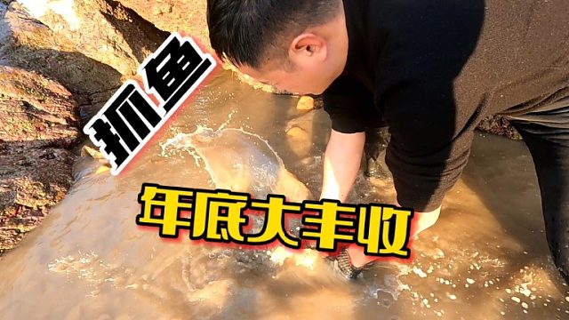 年底大水坑海货大团圆，躲藏巨石下的生猛海鲜被小明和阿峰一窝端