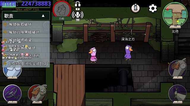 关于隐形狼养加拿大猪猪那么一件事