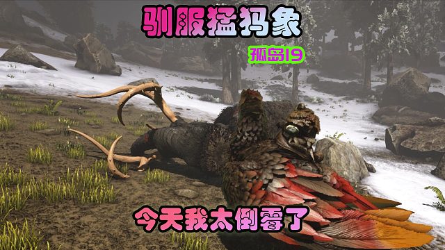 方舟生存进化 孤岛19 今天太倒霉，驯龙完全不成功
