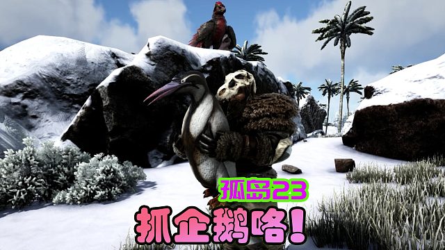 方舟生存进化 孤岛23 海边抓企鹅，蠢萌蠢萌的