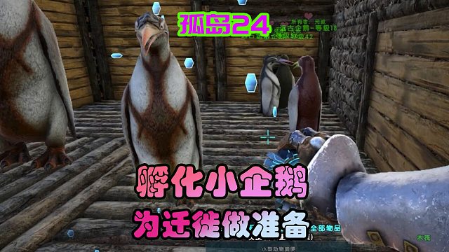 方舟生存进化 孤岛24 繁殖企鹅成功了，准备大迁徙
