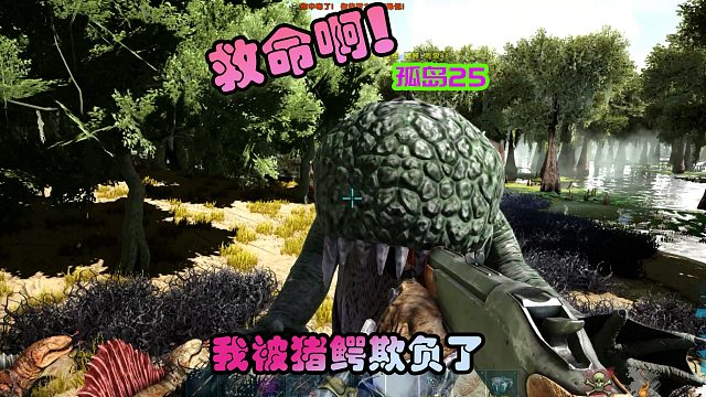 方舟生存进化 孤岛25 救命啊！我被猪鳄欺负了呀