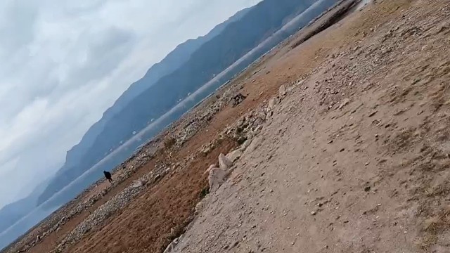 水库要见底啦！大家快来挖鱼