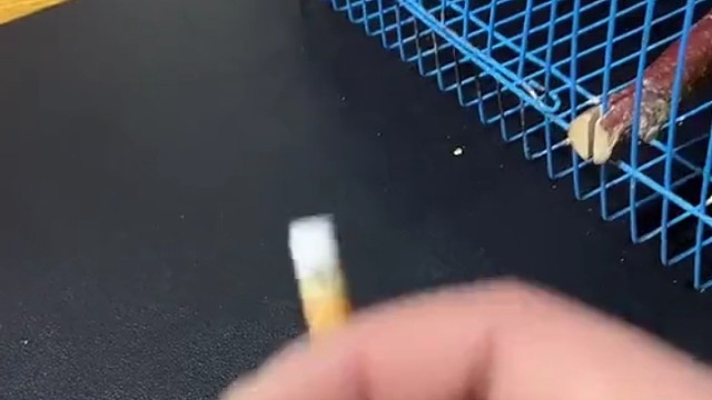 也太聪明了吧！