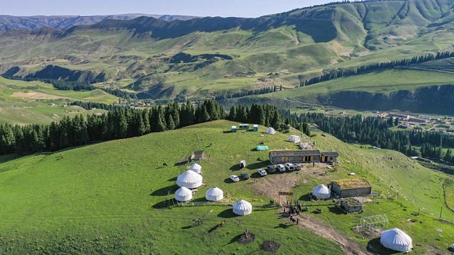 公司取消年终奖请员工去新疆