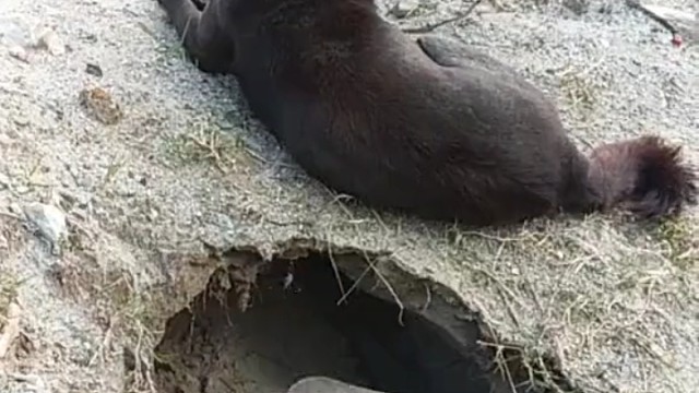 本是同根生