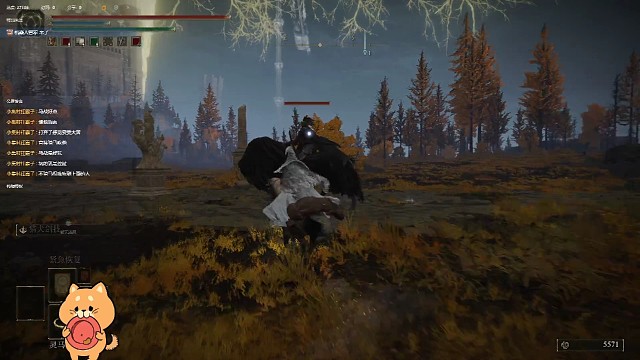 记录我的老头环22黑夜使者