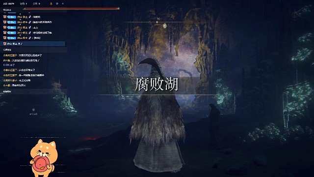 记录我的老头环23“黑暗弃子”艾丝缇