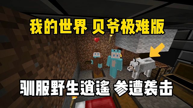 我的世界贝爷极难版：驯服野生逍遥，惨遭袭击！