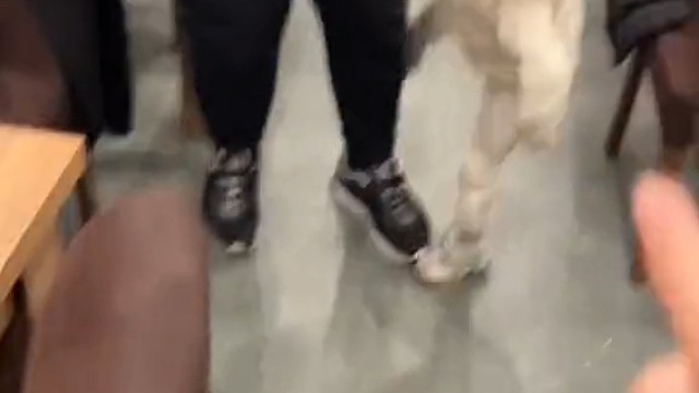 帮我看看那个球球是干什么的