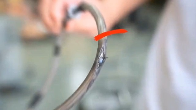 安装刹车钢吼教程，分享