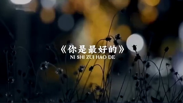 你是最好的，没人能代替
