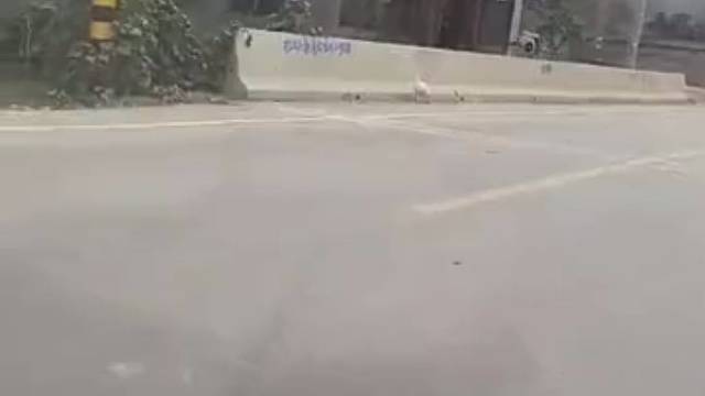 它居然还会扶一下？？