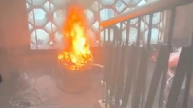 邻居物业都不敢管，是你会怎么办？