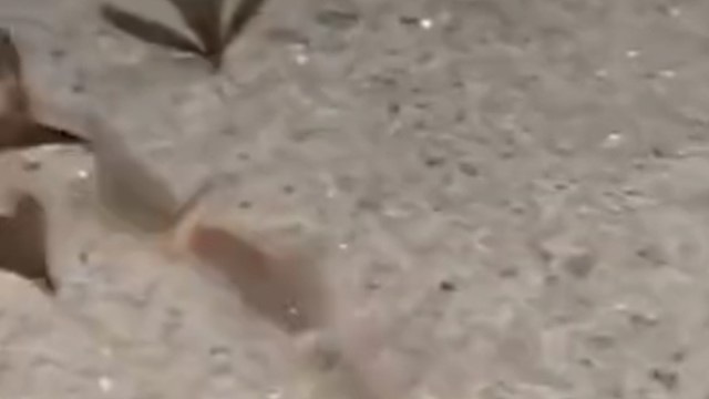 吃不完根本吃不完