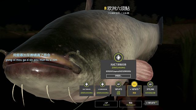 新手误判星猪 走神差点锁断
