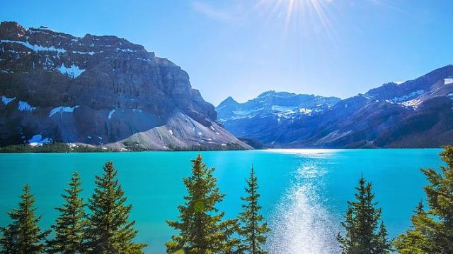 感谢 晓玛丽老板的高能预警耶  小心慢行 当心被仔仔抓到了 哈哈哈哈