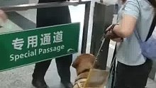 盲人乘车感人一幕，导盲犬下车精准找到专用通道。