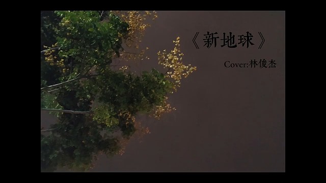 你是我坠崖途中遇到的最美的蝴蝶，但这不能阻止我跌落的速度。