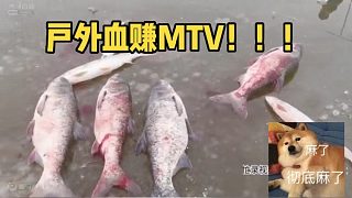 【户外老李】户外血赚MTV！！！