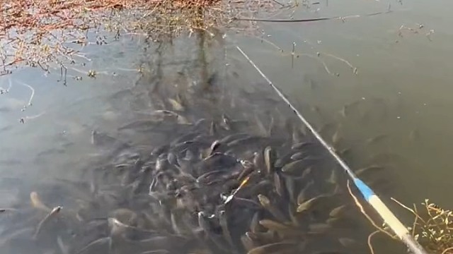 就是不咬钩，怎么办？