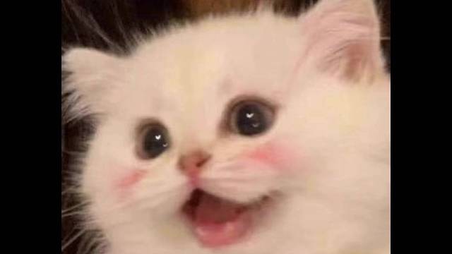 爱你呦