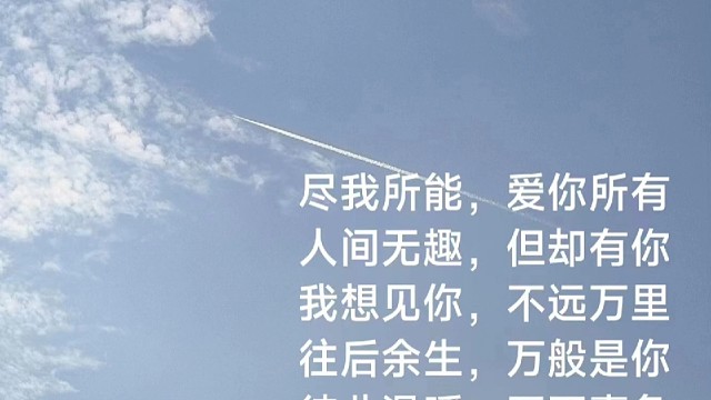 满目星辰皆是你