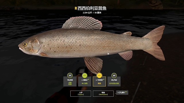 30图–星西茴（98星），测饵中，几杆就上。卡星一个月终于涨了个星。西茴断断续续也打了一年，开口就来