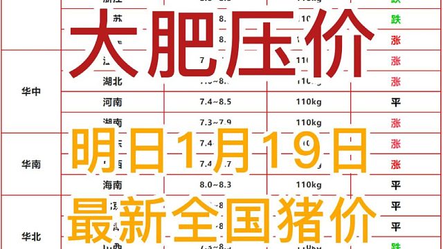 明日1月19日全国猪价早知道！猪价继续上涨 大肥压价#猪价最新行情 #明日猪价 #养猪人 #自繁自养