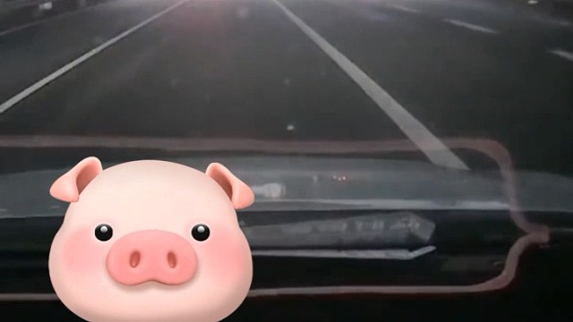 前车在快车道试图变道下高速，后车为躲避被迫驶入匝道