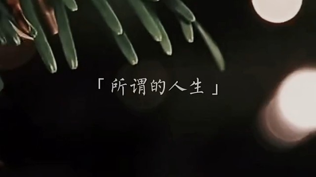 所谓人生，就是说不完的谎言，看不透的人心