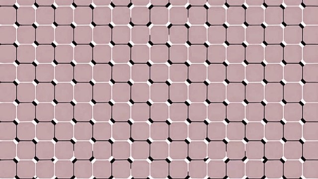 你看的是什么？