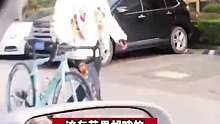男子牵着自行车在路上行走，遭女司机吐槽是便宜货