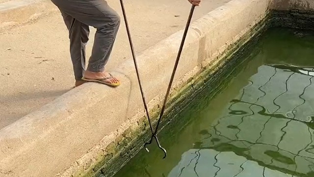 鳄鱼必杀技，死亡翻滚