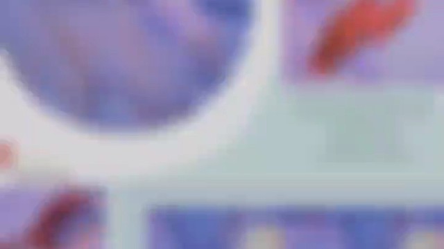 贵州姑娘河南媳妇