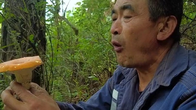 我们云南人都是这样吃菌的，从来不带怕