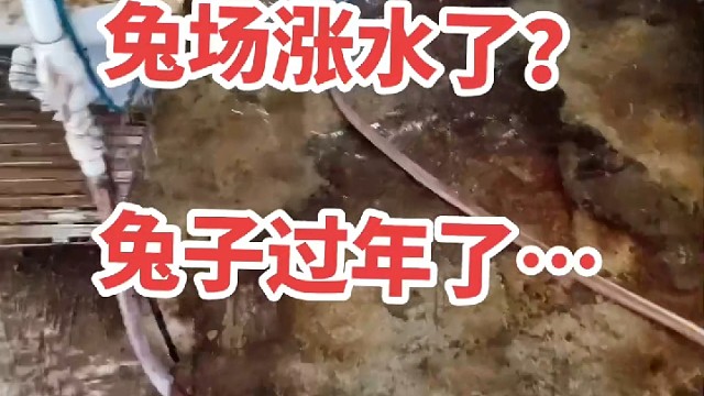 匆匆忙忙又一年，今年不好，寄托下一年。