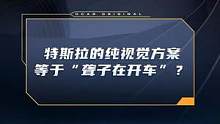 特斯拉死磕純視覺方案，有網(wǎng)友說這等于“聾子在開車”？你怎么看？#車圈硬核年終獎出爐 #dcar不打烊