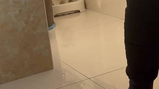 新年啦，拉个屎给大家助助兴