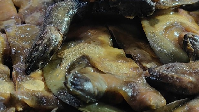 大年初一拜年了