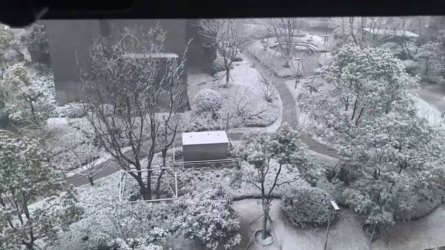 新年快乐！祝福大家好钱兔似锦