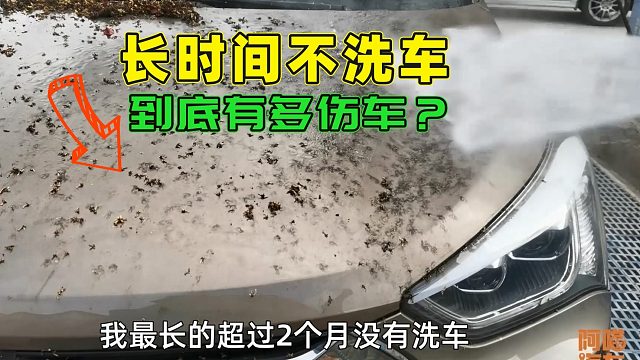 长时间不洗车有什么坏处，会不会伤车？内行人告诉你哪里最受伤