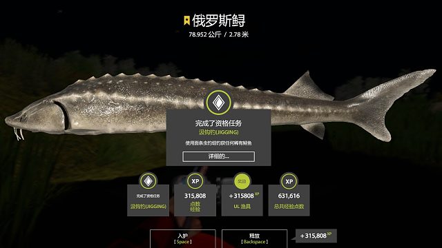 世界超轻毛鲟！