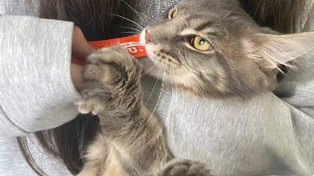 永远喜欢简单又真诚