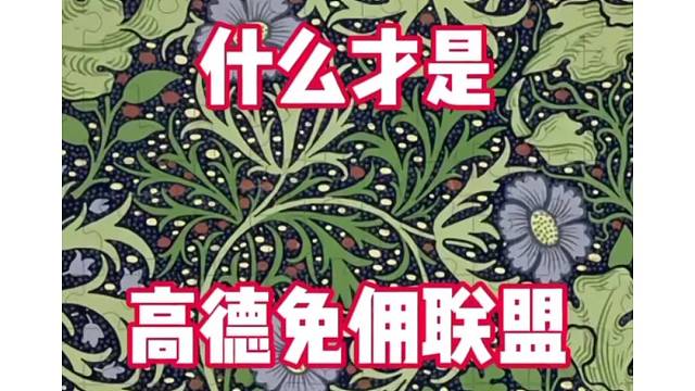 就是加入高德地图的一些小平台成立的一个免用联盟活动。这个活动的话，只要是属于跟高德合作的网约车平台，